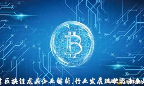 
基建区块链龙头企业解析，行业发展现状与未来趋势